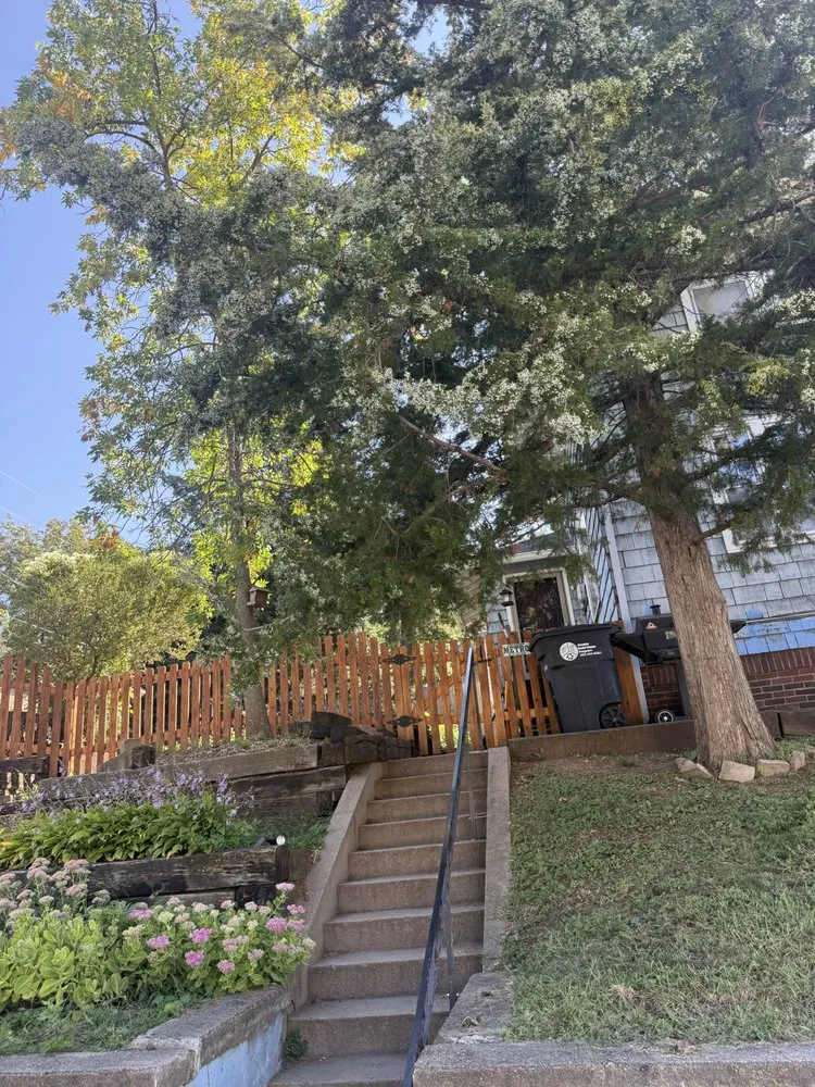 Expert yard maintenance experts serving Omaha, NE - Avalos & Merksick