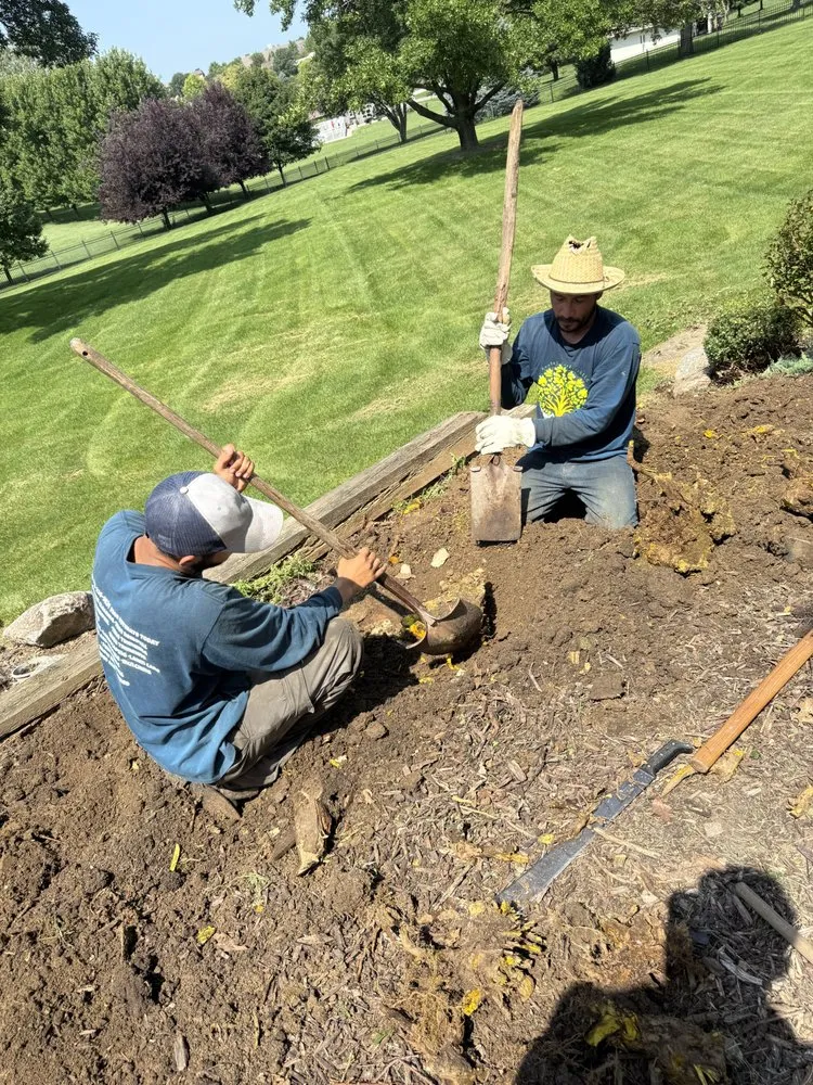 Reliable lawn care service experts serving Omaha, NE - Avalos & Merksick