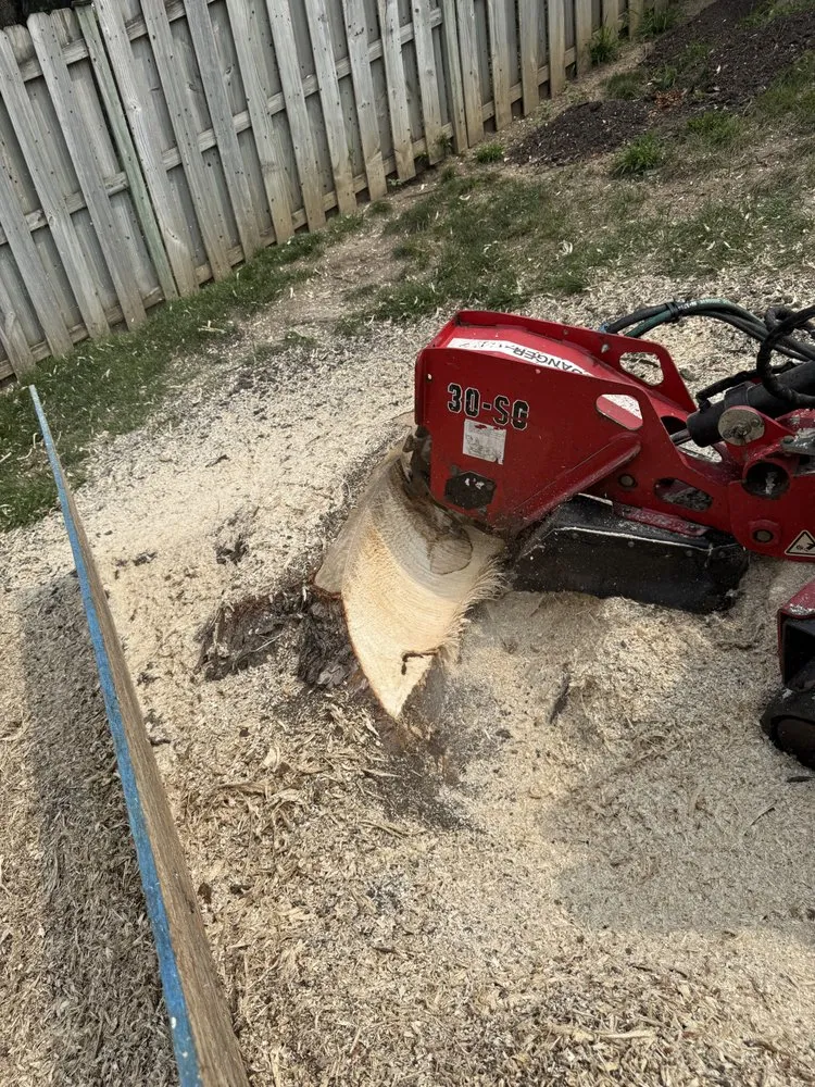 Reliable landscape installation in Omaha, NE by Avalos & Merksick