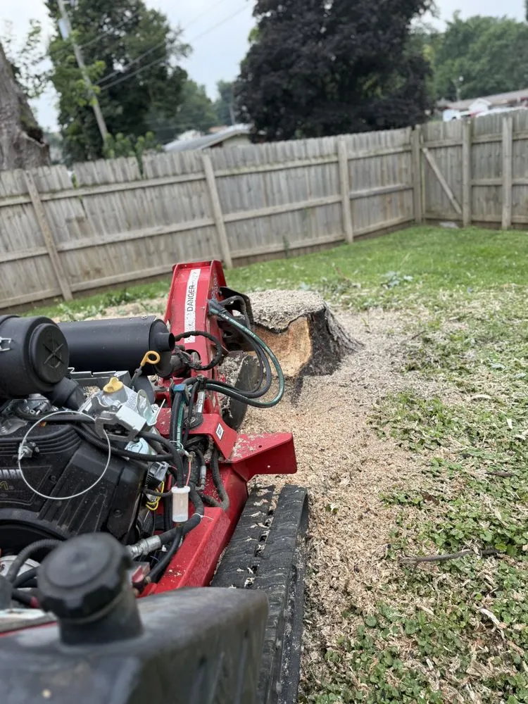 Affordable landscape installation experts serving Omaha, NE - Avalos & Merksick