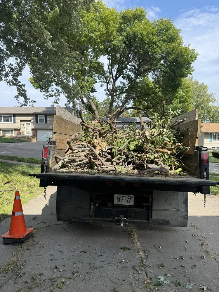 Affordable landscape design in Omaha, NE by Avalos & Merksick