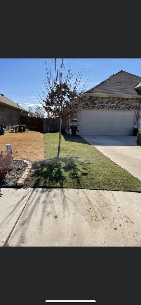 Local yard cleanup service for residential properties across San Antonio, TX - Avalos A1 Landscaping