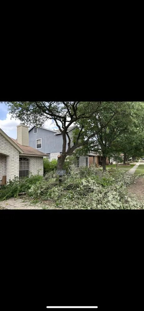 Expert landscape installation in San Antonio, TX by Avalos A1 Landscaping