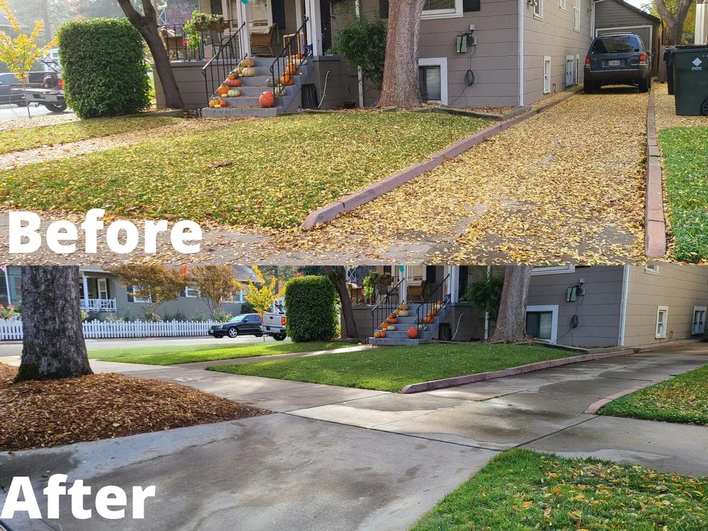 Trusted yard cleanup service for homes in Sacramento, CA by Avalos Landscape