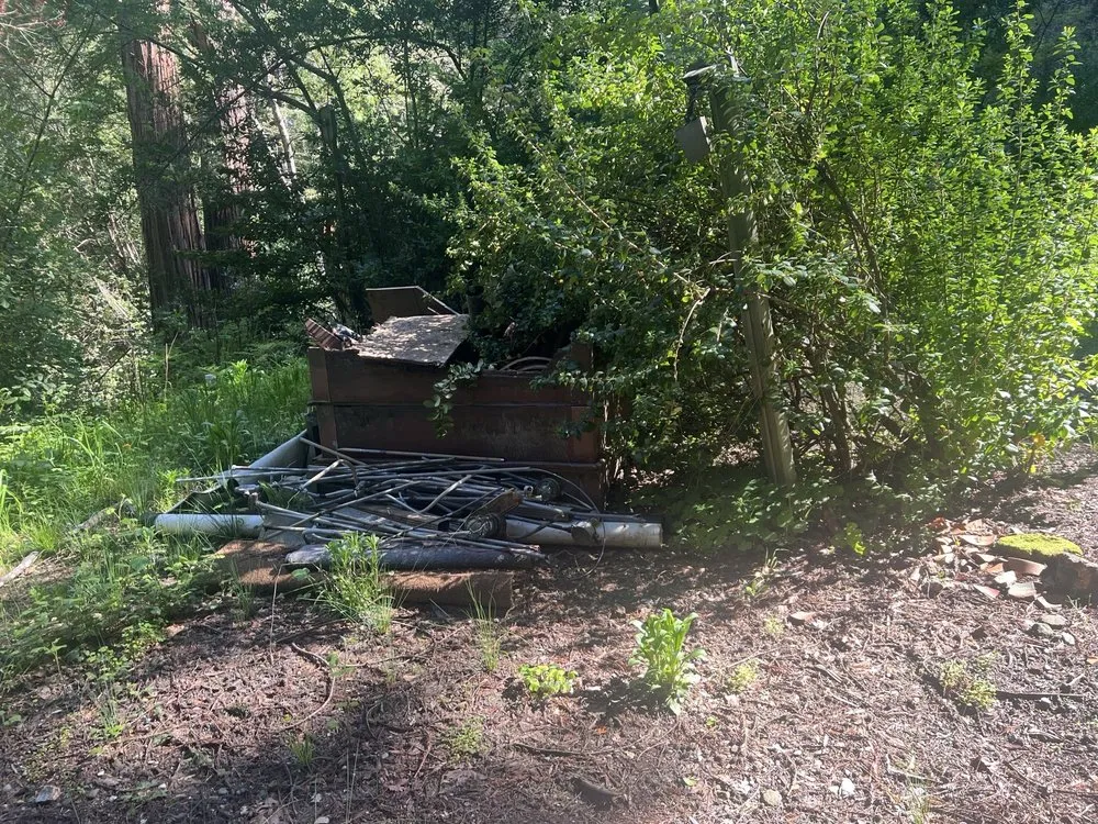 Reliable yard cleanup service for beautiful yards in Santa Cruz, CA by Avalos Landscaping and Construction