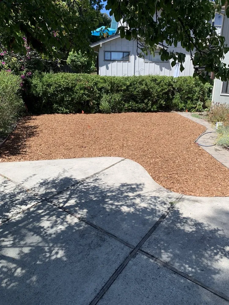 Local yard cleanup service for beautiful yards across Santa Cruz, CA - Avalos Landscaping and Construction