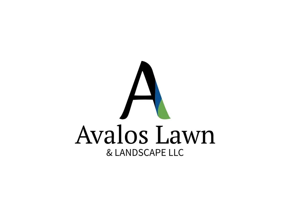 Custom yard cleanup service for homes in Saint Charles, MO by Avalos Lawn & Landscape