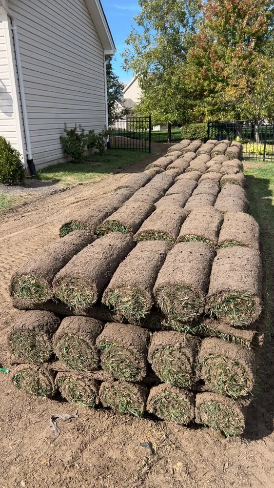 Reliable yard maintenance experts serving Saint Charles, MO - Avalos Lawn & Landscape