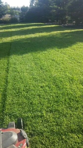 Custom landscaping services for outdoor upgrades in Sacramento, CA by Avalos Professional Landscape