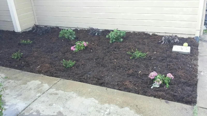 Expert outdoor landscaping in Sacramento, CA by Avalos Professional Landscape