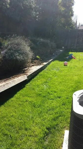 Local yard maintenance in Sacramento, CA - Avalos Professional Landscape