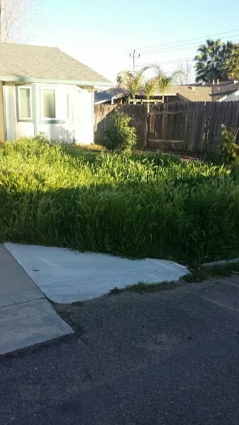 Professional lawn mowing service experts serving Sacramento, CA - Avalos Professional Landscape