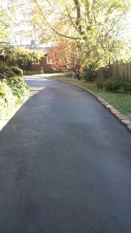 Professional residential landscaping for beautiful yards in Sacramento, CA by Avalos Professional Landscape