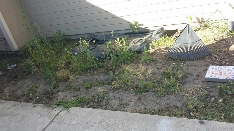 Affordable residential landscaping for year-round maintenance in Sacramento, CA by Avalos Professional Landscape