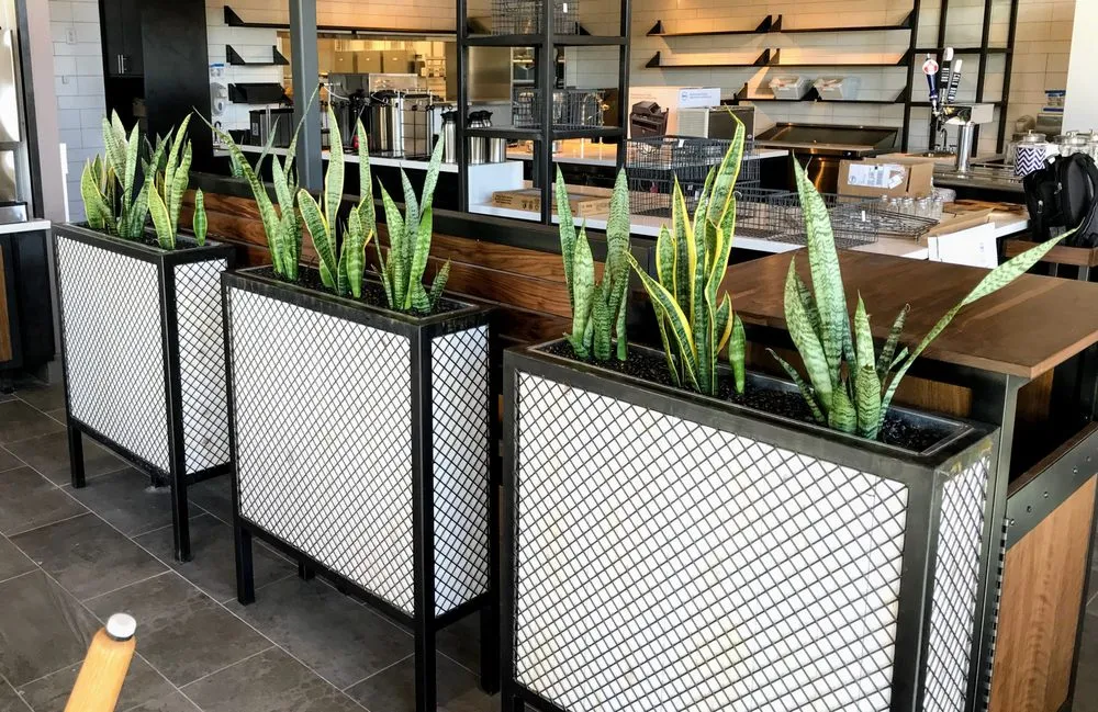 Trusted residential landscaping for beautiful yards in Queen Creek, AZ by Avant-Garden Design and Landscape