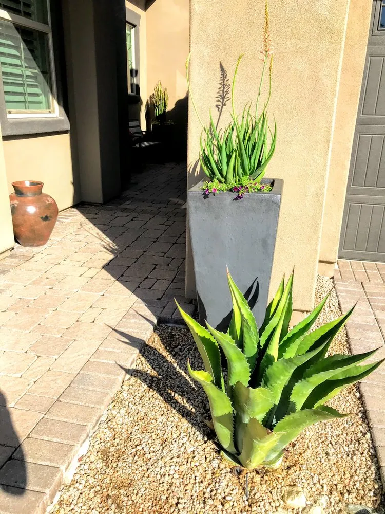 Top-rated lawn care service with custom design in Queen Creek, AZ by Avant-Garden Design and Landscape