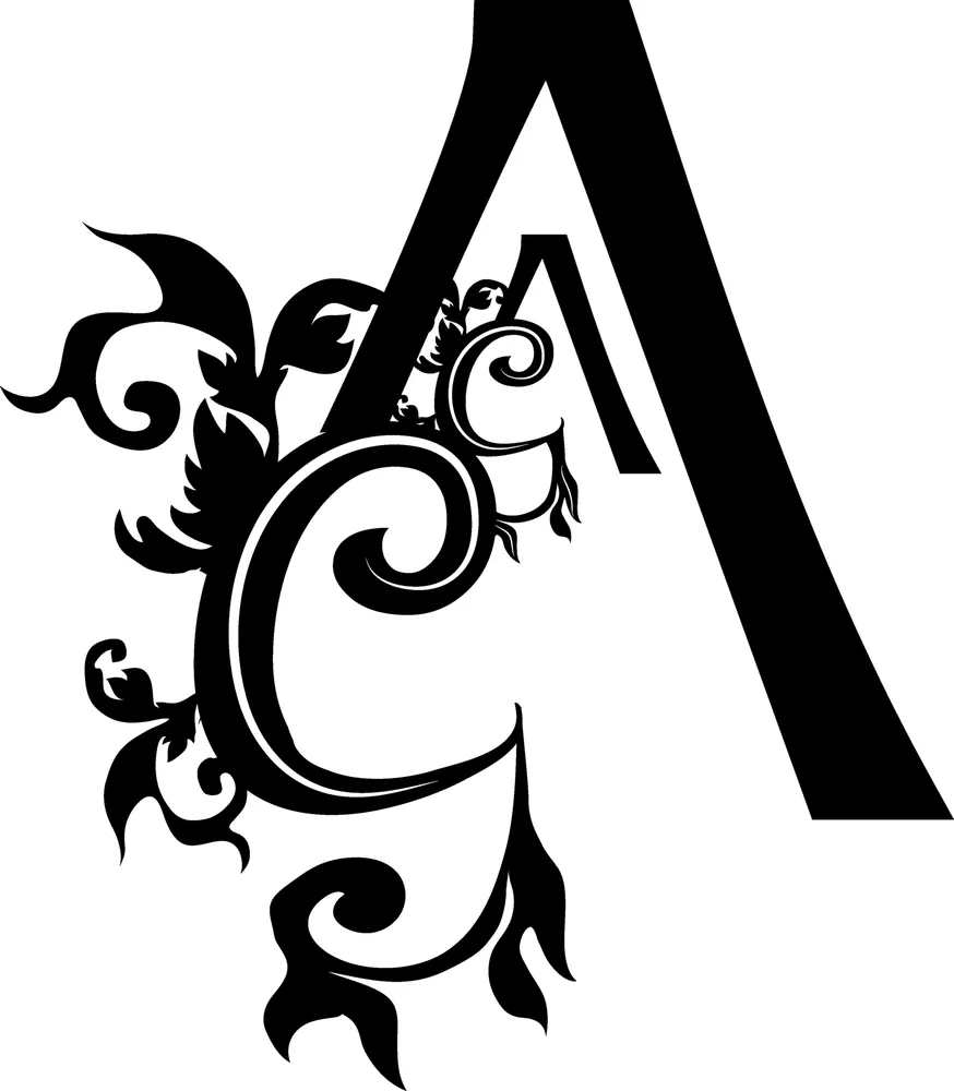 Local garden landscaping for year-round maintenance across Queen Creek, AZ - Avant-Garden Design and Landscape