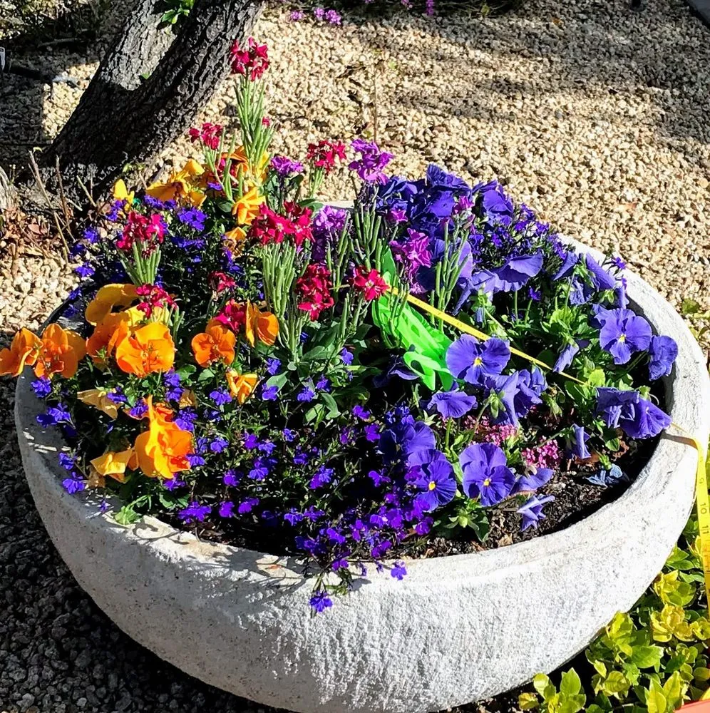 Affordable landscape installation in Queen Creek, AZ - Avant-Garden Design and Landscape