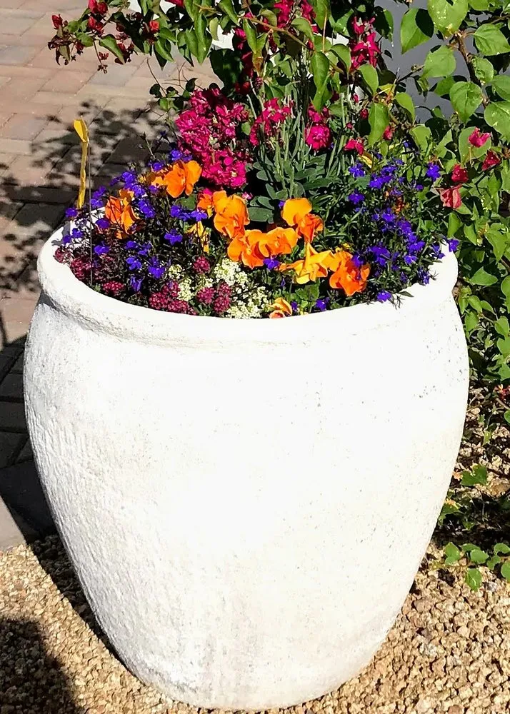 Trusted landscape design for beautiful yards across Queen Creek, AZ - Avant-Garden Design and Landscape