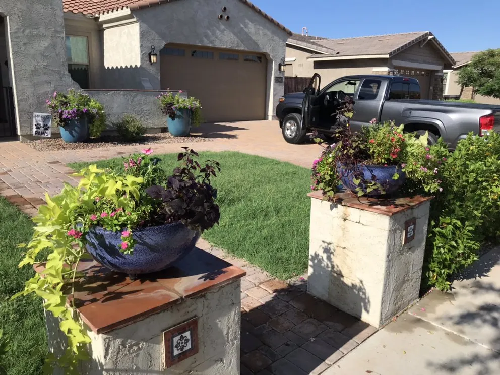 Expert residential landscaping experts serving Queen Creek, AZ - Avant-Garden Design and Landscape