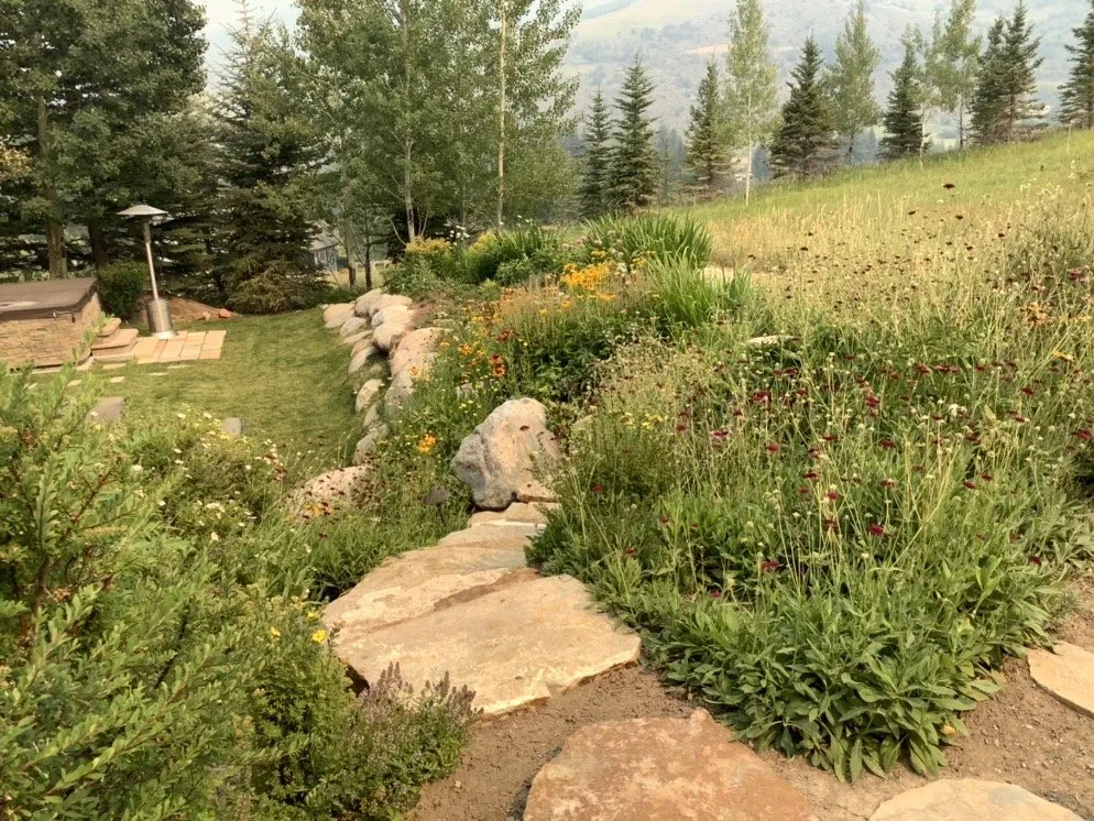 Affordable outdoor landscaping in Wolcott, CO - Avant Gardener Landscaping