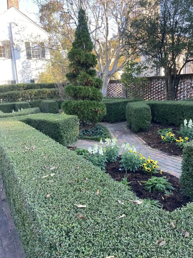 Trusted lawn care service for residential properties across Wilmington, NC - Avant Gardener