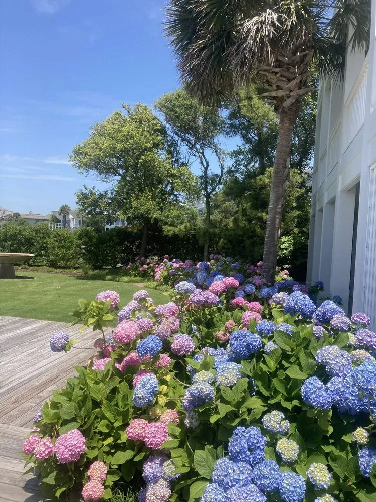 Affordable garden landscaping with custom design in Wilmington, NC by Avant Gardener