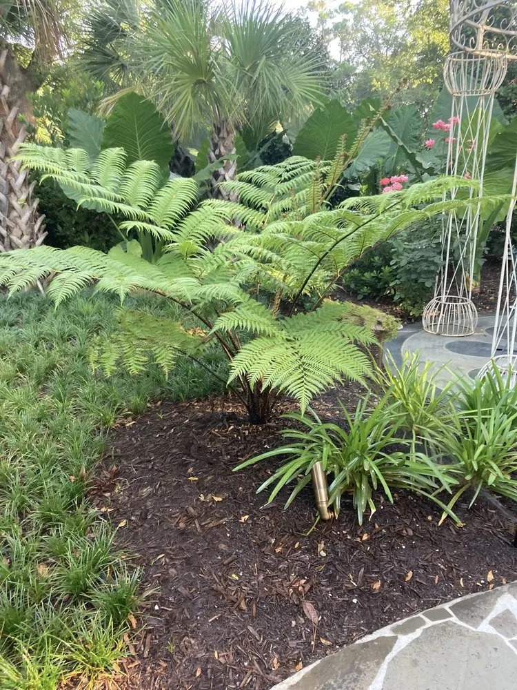 Trusted outdoor landscaping in Wilmington, NC by Avant Gardener