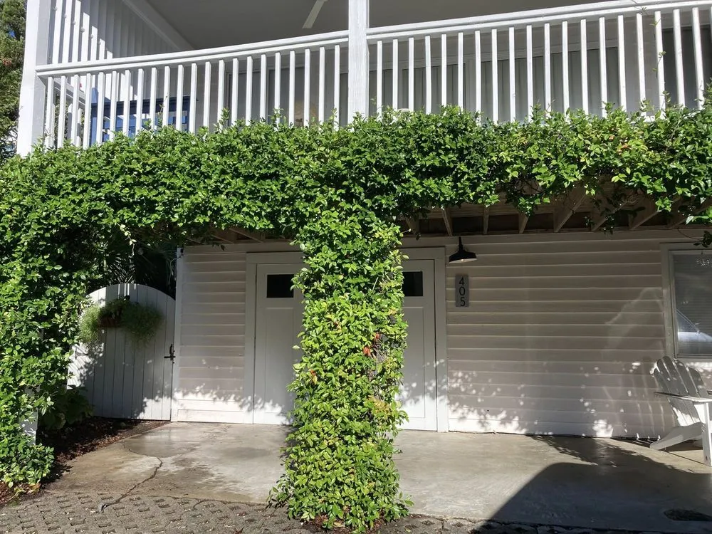 Reliable outdoor landscaping experts serving Wilmington, NC - Avant Gardener