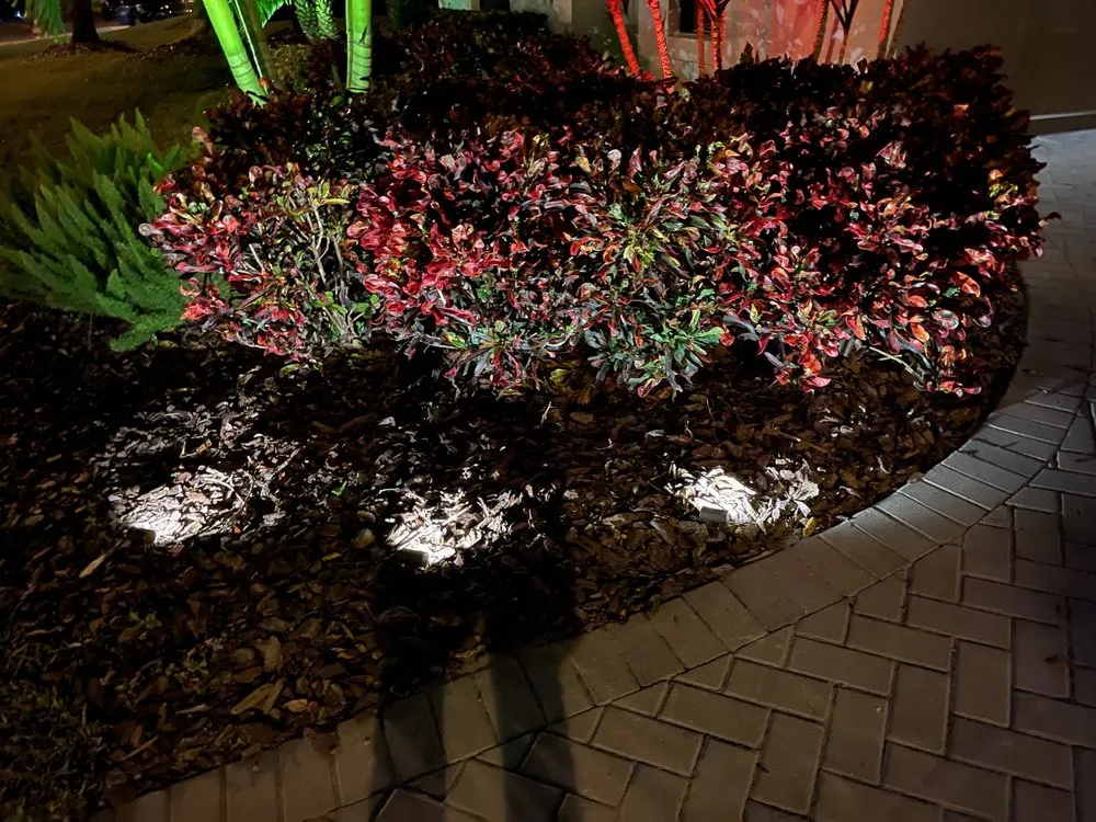 Trusted outdoor landscaping for outdoor upgrades across New Port Richey, FL - Avanti Outdoor Lighting