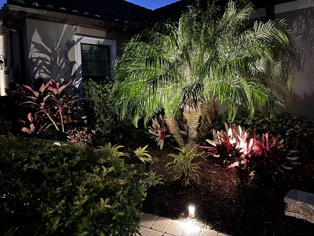 Local yard maintenance with custom design across New Port Richey, FL - Avanti Outdoor Lighting