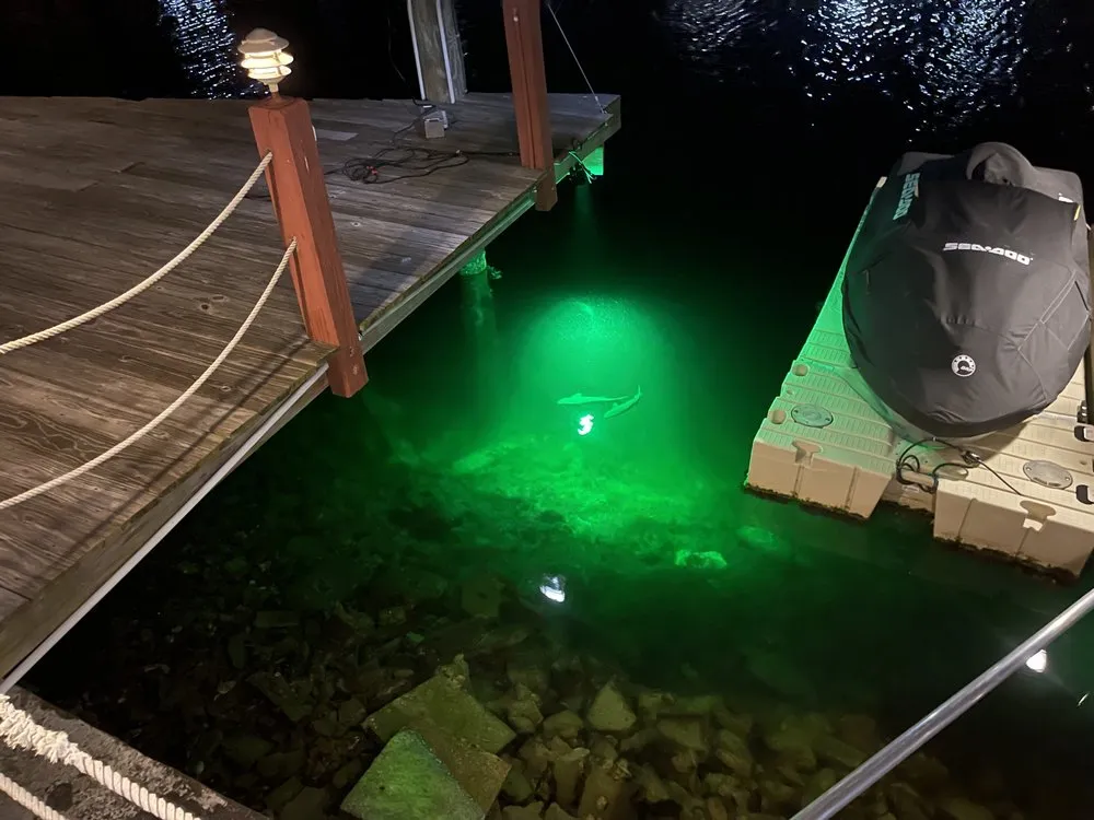 Trusted landscape installation in New Port Richey, FL - Avanti Outdoor Lighting