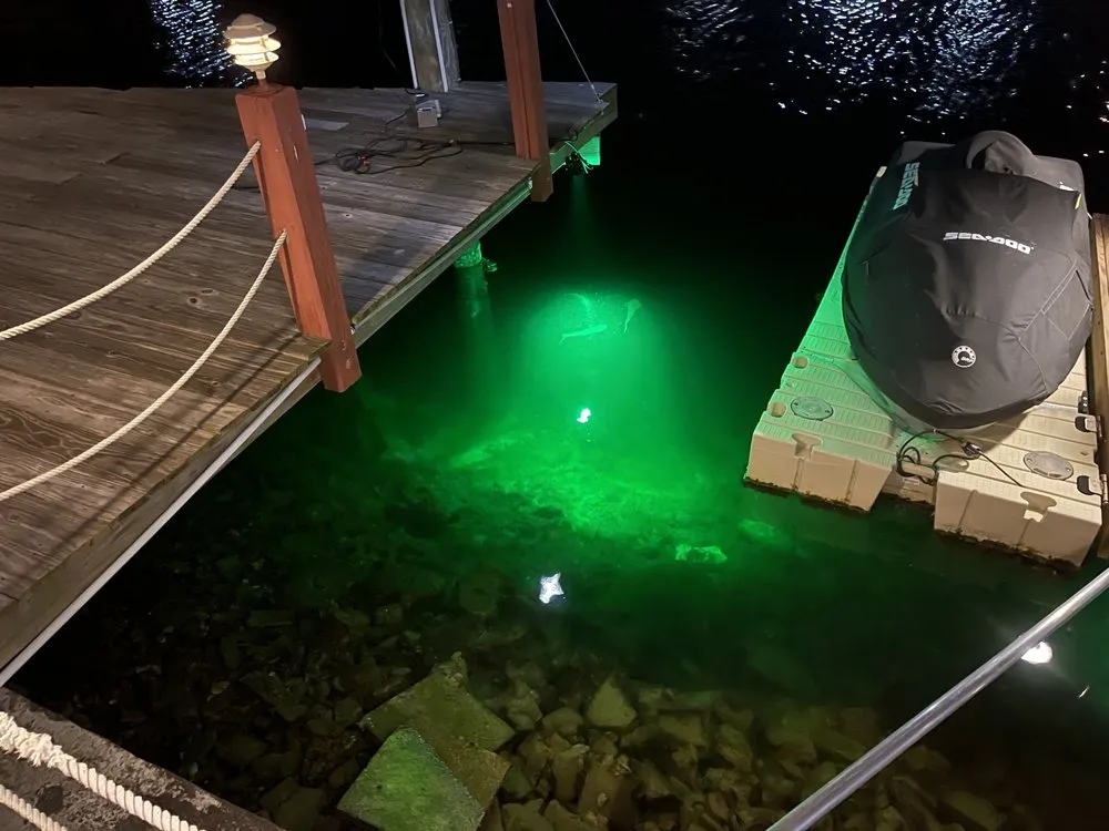 Expert outdoor landscaping experts serving New Port Richey, FL - Avanti Outdoor Lighting