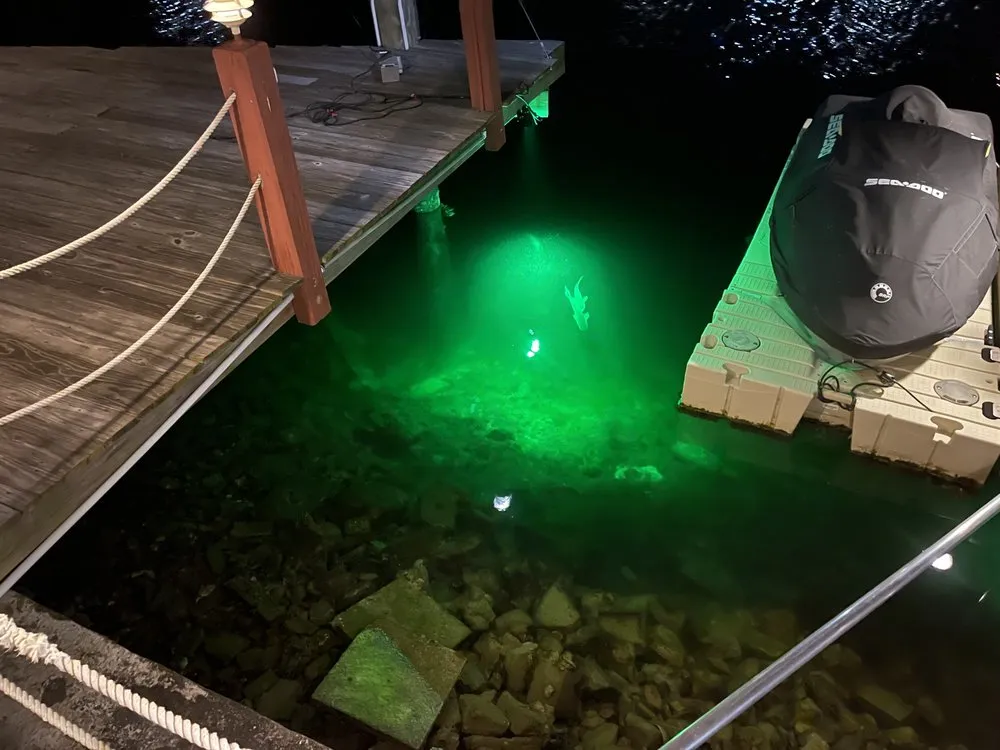 Affordable outdoor landscaping experts serving New Port Richey, FL - Avanti Outdoor Lighting