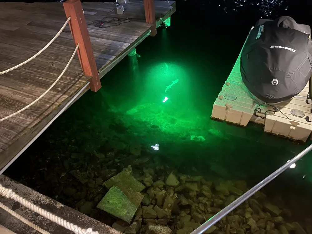 Trusted landscape installation for residential properties in New Port Richey, FL by Avanti Outdoor Lighting