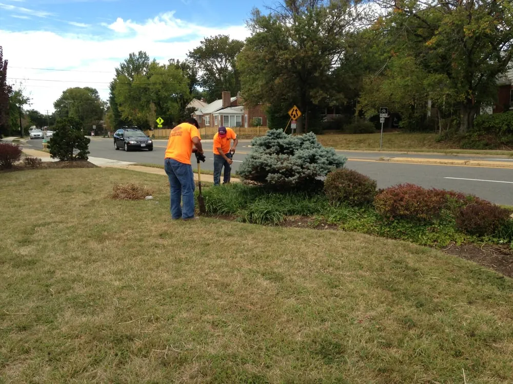 Top-rated yard maintenance in Arlington, VA - Avanza Landscaping & Maintenance