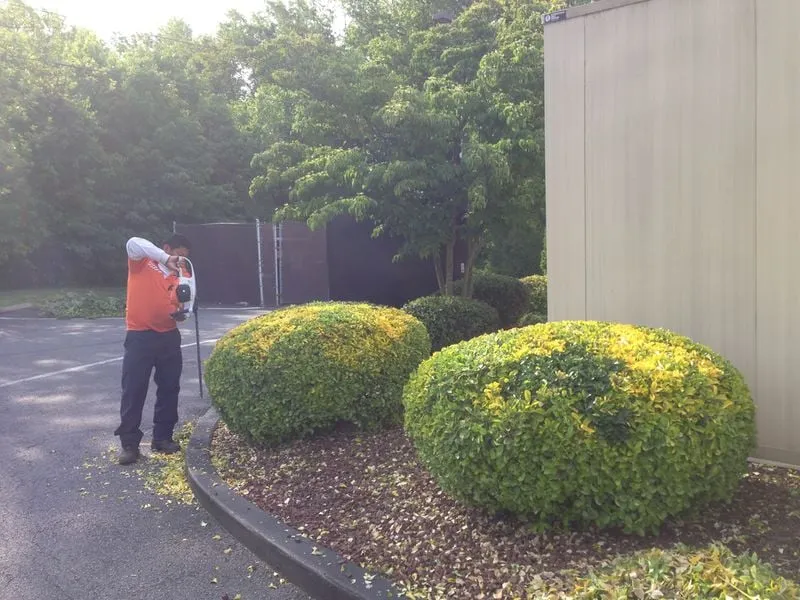 Professional yard maintenance for beautiful yards in Arlington, VA by Avanza Landscaping & Maintenance