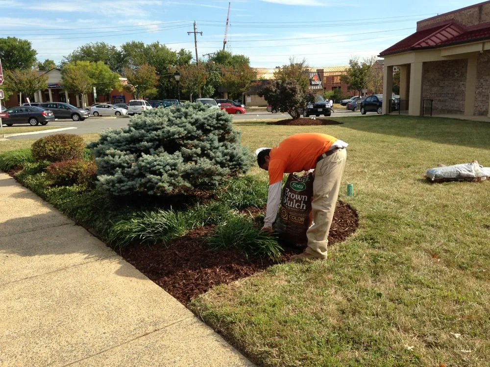 Local residential landscaping for outdoor upgrades across Arlington, VA - Avanza Landscaping & Maintenance