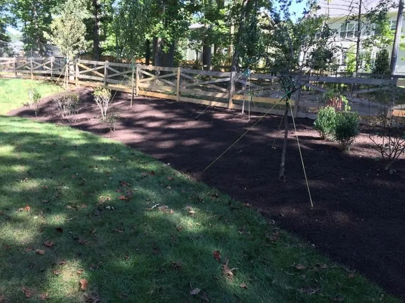 Custom yard cleanup service in Arlington, VA - Avanza Landscaping & Maintenance