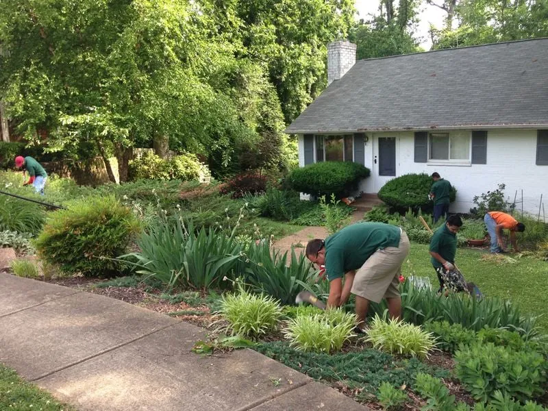 Local lawn care service experts serving Arlington, VA - Avanza Landscaping & Maintenance