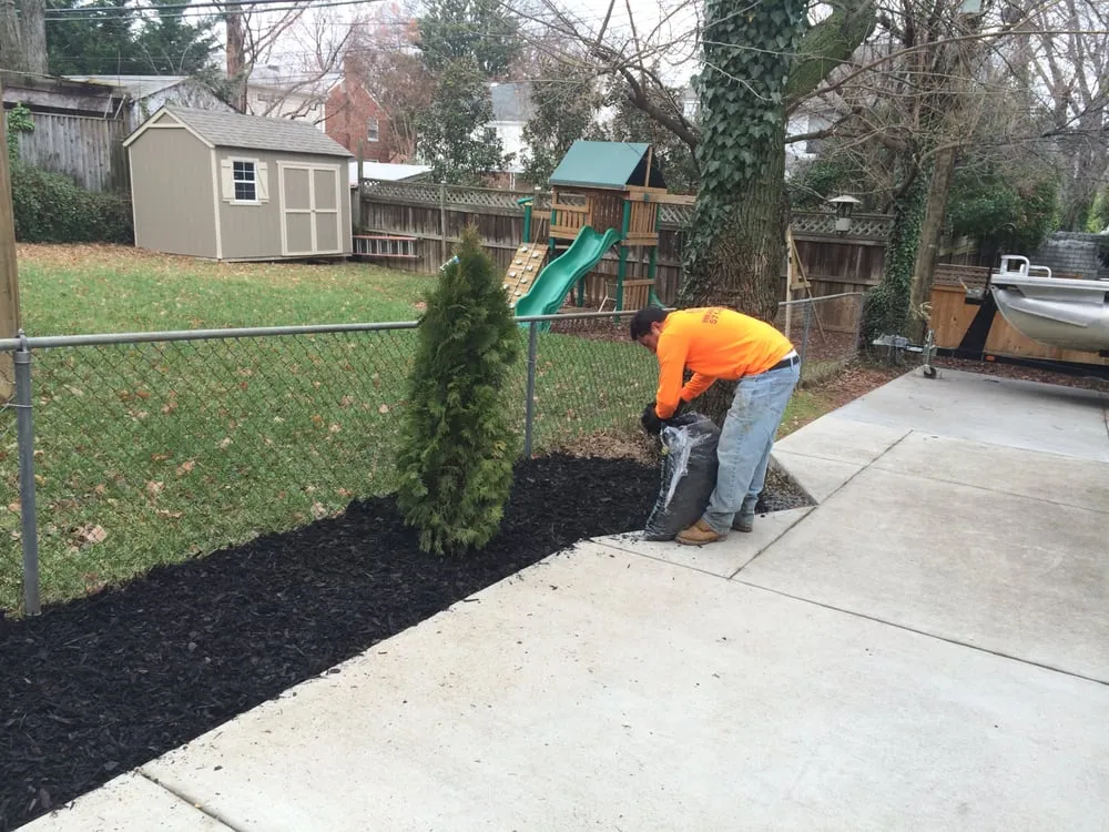 Top-rated landscape installation for beautiful yards in Arlington, VA by Avanza Landscaping & Maintenance