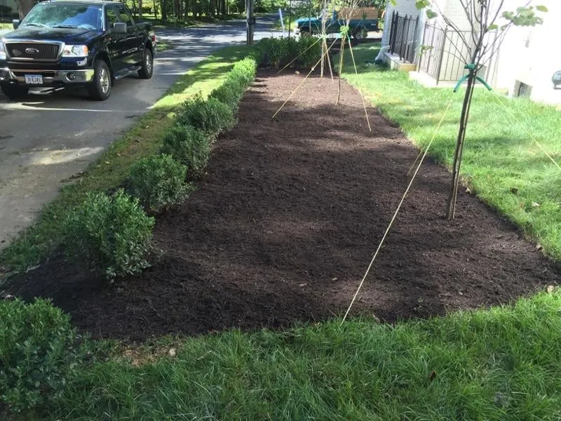 Top-rated yard cleanup service experts serving Arlington, VA - Avanza Landscaping & Maintenance