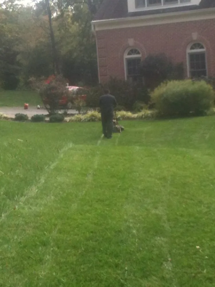 Professional yard maintenance in Arlington, VA - Avanza Landscaping & Maintenance