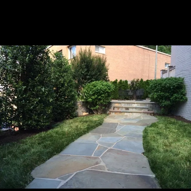 Professional garden landscaping for year-round maintenance in Arlington, VA by Avanza Landscaping & Maintenance