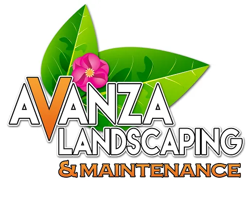Custom landscape design in Arlington, VA - Avanza Landscaping & Maintenance