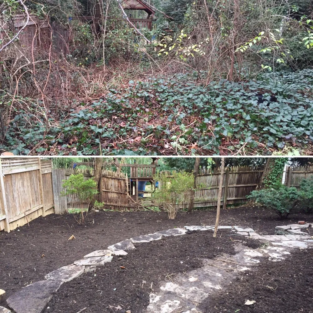 Professional outdoor landscaping for outdoor upgrades in Arlington, VA by Avanza Landscaping & Maintenance