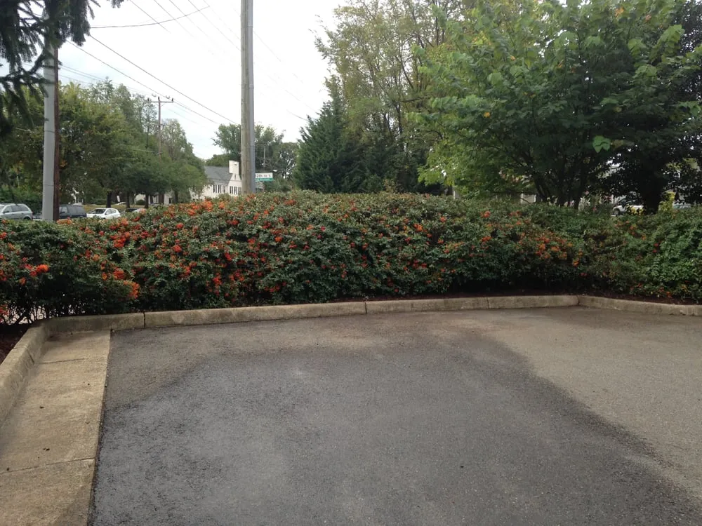 Top-rated garden landscaping experts serving Arlington, VA - Avanza Landscaping & Maintenance