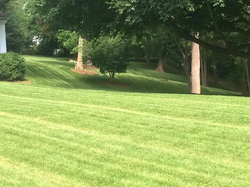 Professional lawn care service with custom design in Arlington, VA by Avanza Landscaping & Maintenance