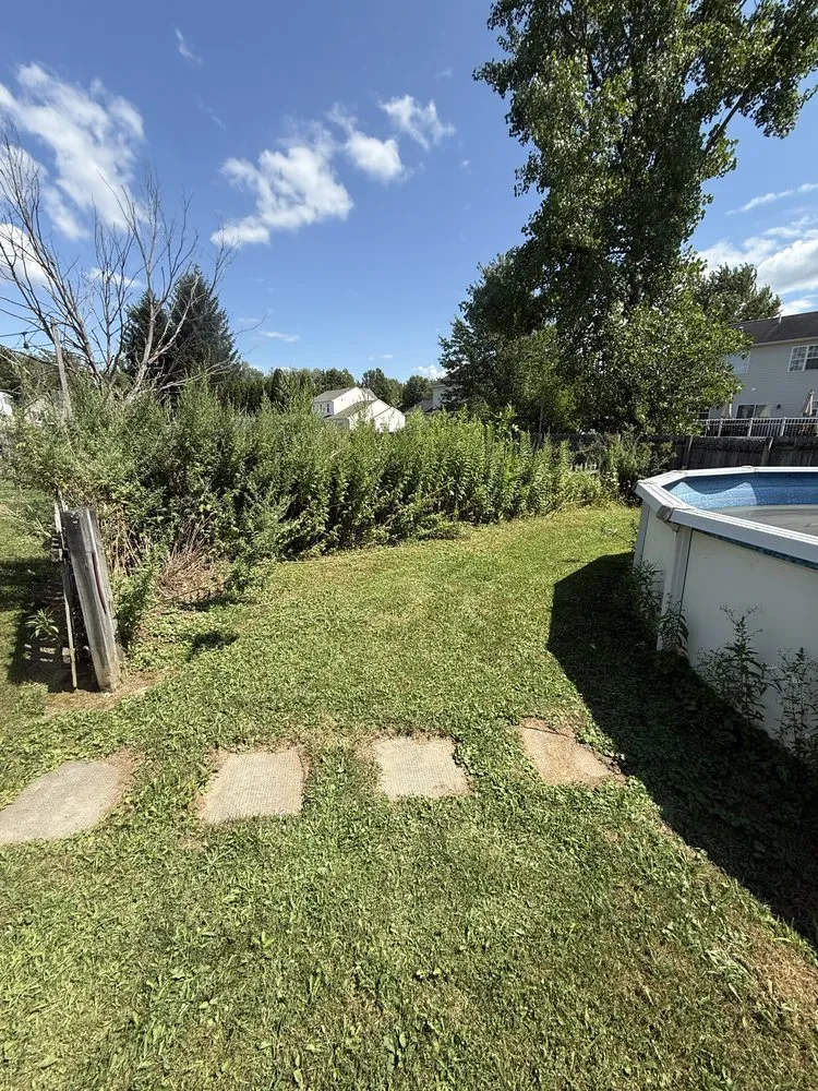 Trusted lawn mowing service with custom design across Clay, NY - Avard Property Maintenance