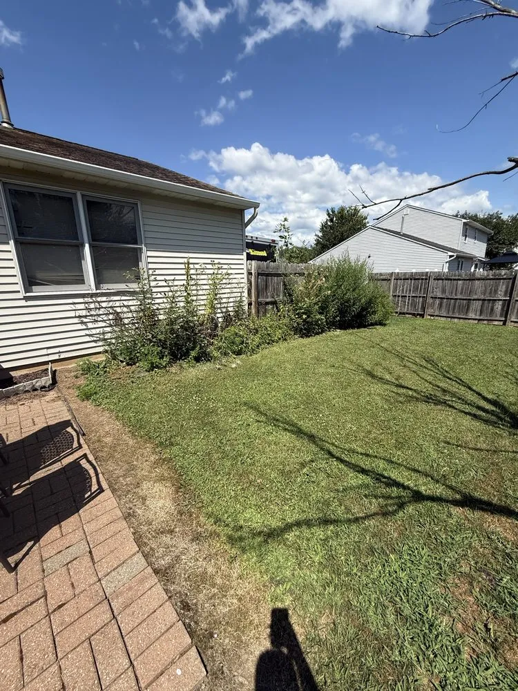 Top-rated lawn care service for outdoor upgrades across Clay, NY - Avard Property Maintenance